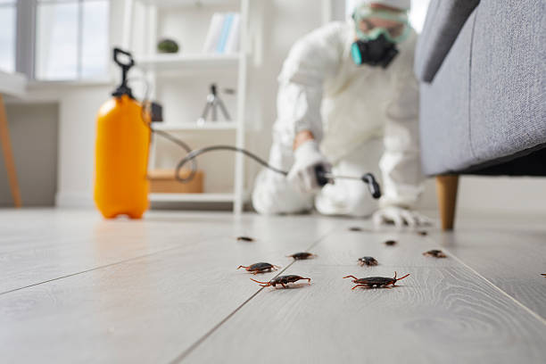 Commercial Kitchen Cockroach Control in Oakhurst